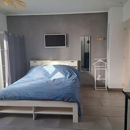 Studio Dans Maison Avec Jardin Et Balcon, Au Calme Sérézin-du-Rhône Eksteriør billede
