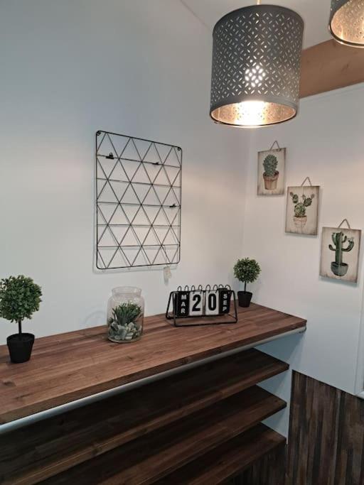 Studio Dans Maison Avec Jardin Et Balcon, Au Calme Sérézin-du-Rhône Eksteriør billede