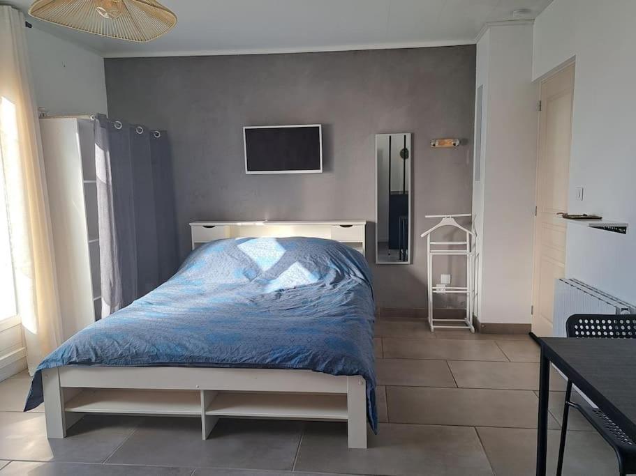 Studio Dans Maison Avec Jardin Et Balcon, Au Calme Sérézin-du-Rhône Eksteriør billede